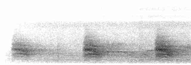 Пестрогрудый зимородок - ML617702942