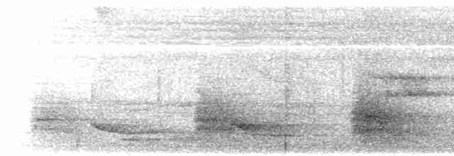 Пестрогрудый зимородок - ML617702944
