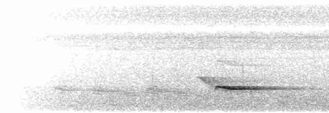 Пестрогрудый зимородок - ML617702945