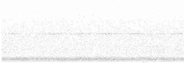 Red-necked Nightjar - ML617703685