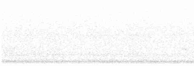 Black-bellied Plover - ML617703693
