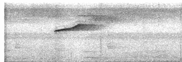 Siffleur des Philippines (groupe philippinensis) - ML617704848