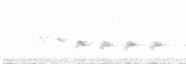 svarthakehonningeter (gularis) - ML617706598