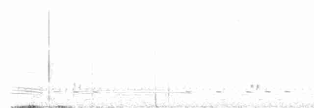 Carillonneur huppé - ML617706927
