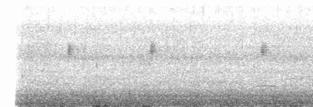 Mirlo Acuático Europeo - ML617707109