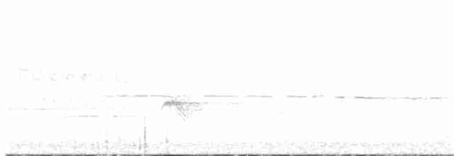 Evening Grosbeak (type 3) - ML617707545