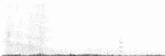 斑胸秧雞 - ML617707680