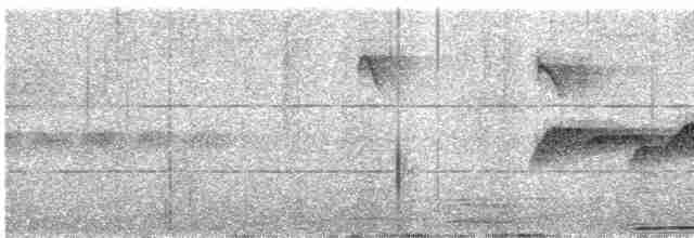 Gray-headed Canary-Flycatcher - ML617708597