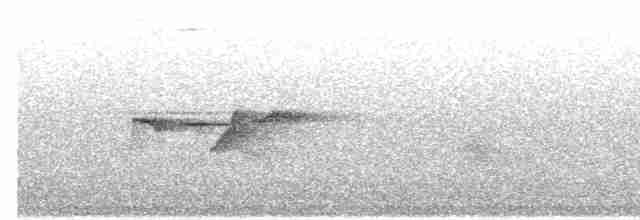 Gri Başlı Kanarya Sinekkapanı - ML617708720