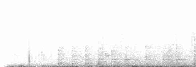 Kara Kaşlı Kamışçın - ML617710386
