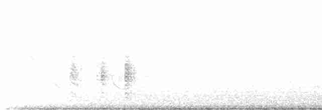 Oriental Reed Warbler - ML617710633