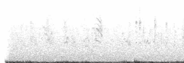 Eastern Olivaceous Warbler - ML617712563
