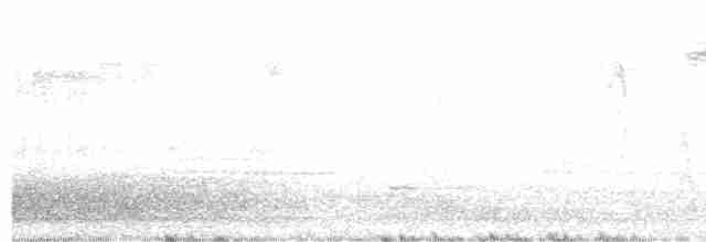 Vireo Ojiblanco - ML617713496