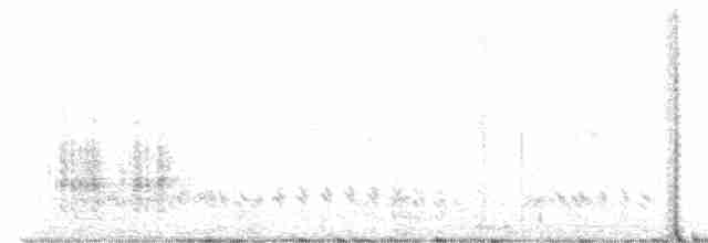 Great Reed Warbler - ML617713842
