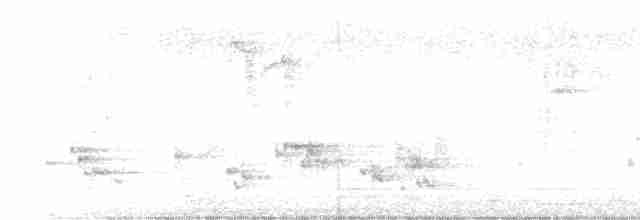 קיכלי Turdus בלתי-מזוהה - ML617715225