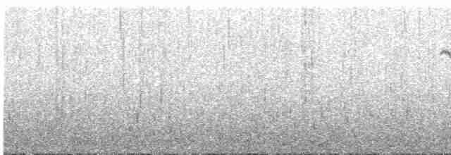 Трясогузковый певун - ML617715723
