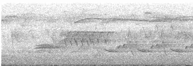 Cerulean Warbler - ML617716031