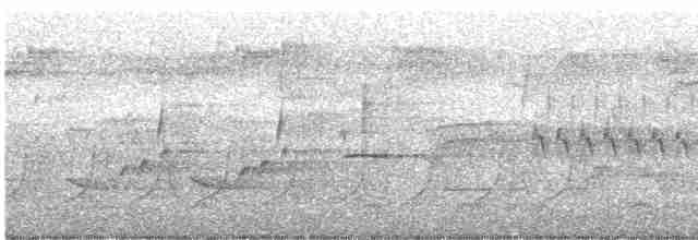 Cerulean Warbler - ML617716034
