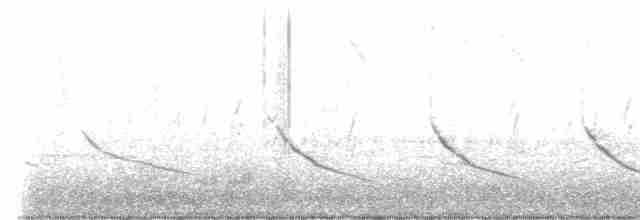 Rauchschwalbe (erythrogaster) - ML617716308