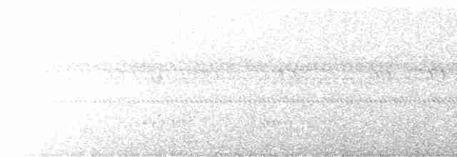 Sichelschwingen-Nachtschwalbe - ML617716578