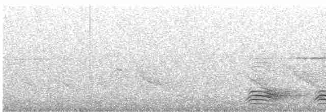 tykknebbkråke (macrorhynchos gr.) - ML617716587