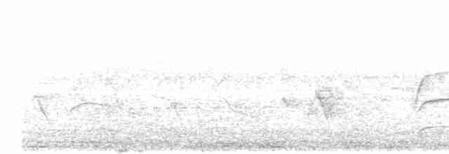 Bluish-gray Saltator - ML617716875