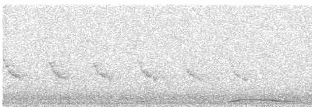 hvitbrynsvartspett - ML617717001
