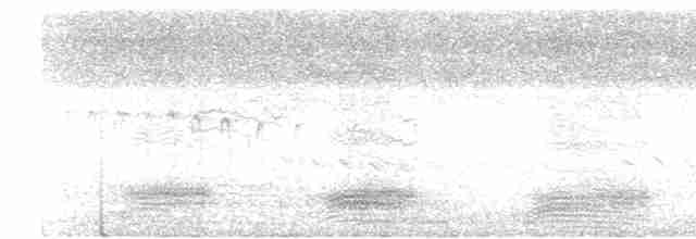 tykknebbkråke (macrorhynchos gr.) - ML617718026