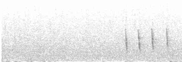 Дрізд-короткодзьоб плямистоволий - ML617719437