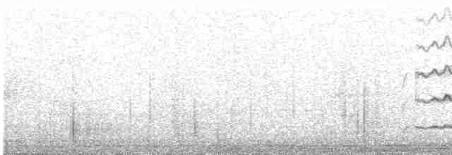Eurasian Kestrel - ML617720202