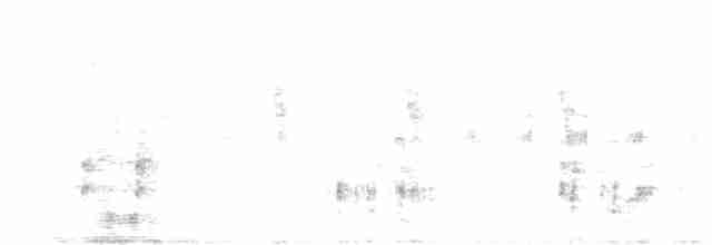 Rousserolle stentor (stentoreus/levantinus) - ML617720323