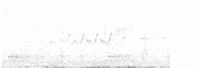 Cerulean Warbler - ML617720998