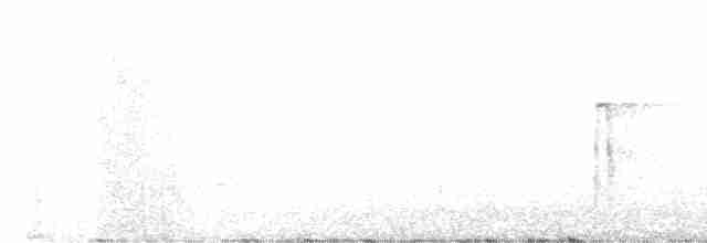 strakapoud americký - ML617721446