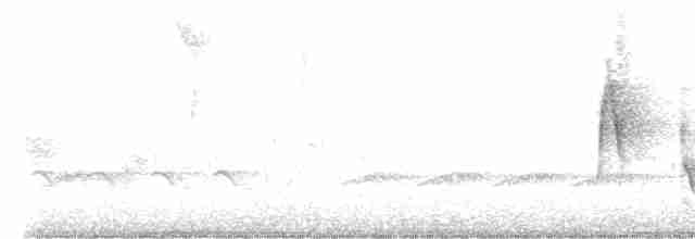 Vireo Ojiblanco - ML617723197