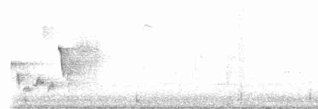 White-eyed Vireo - ML617723198