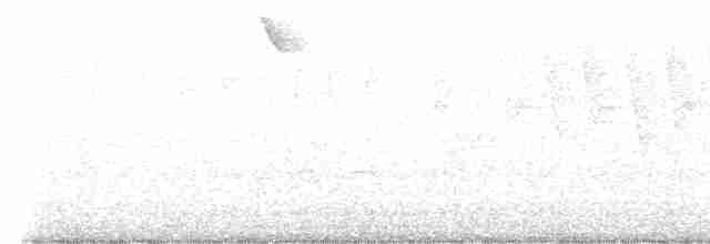 Vireo Ojiblanco - ML617723199