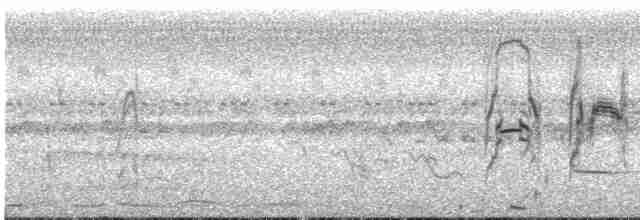 rorýs bělokrký - ML617724247