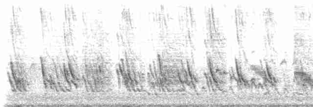 Büyük Mor Kırlangıç - ML617724281