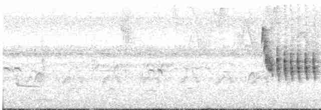 Troglodyte montagnard - ML617724711