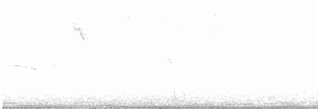 Black-chested Buzzard-Eagle - ML617724718
