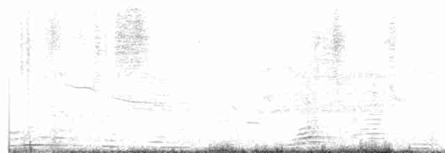 Cisne Trompetero - ML617725218
