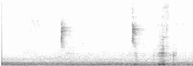 Yellow-rumped Warbler (Myrtle) - ML617726488