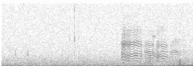 オウム目（インコ科 大きな種） - ML617727033