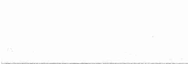 Пестроклювая поганка - ML617728297