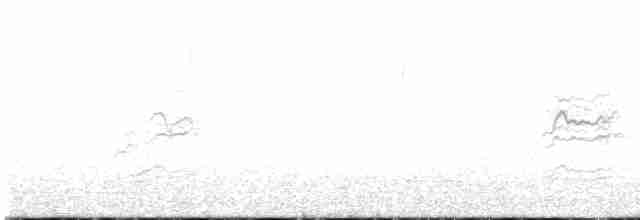 Münzevi Bülbül Ardıcı - ML617730162