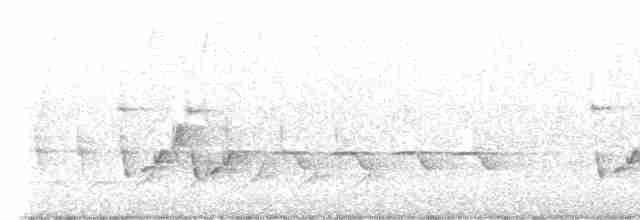 Каролинский крапивник - ML617731982