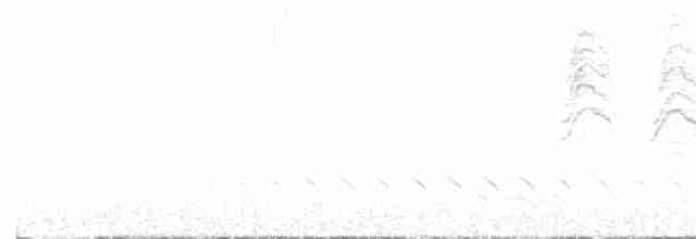 leskot modrošedý [skupina obscura] - ML617732028