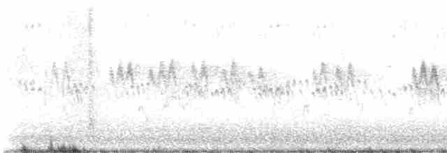 Tree Swallow - ML617734525
