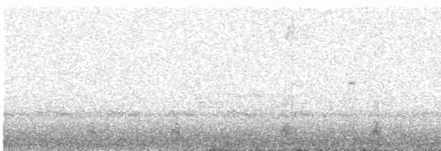 Тукан білогорлий (підвид albivitta/phaeolaemus) - ML617737026