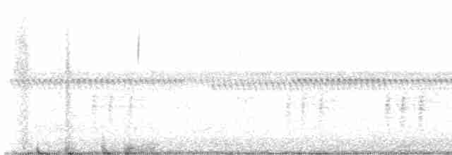 Oriole des vergers - ML617739314